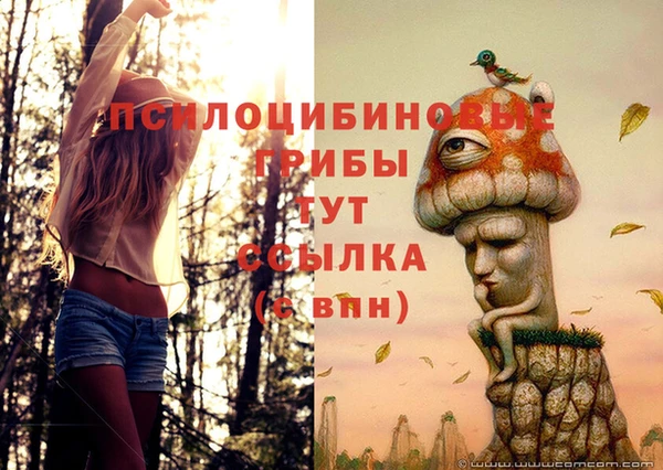 трава Баксан