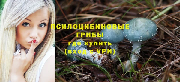 2c-b Балабаново