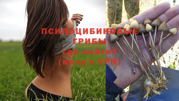 трава Баксан