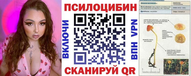 купить наркотик Горнозаводск Галлюциногенные грибы мухоморы